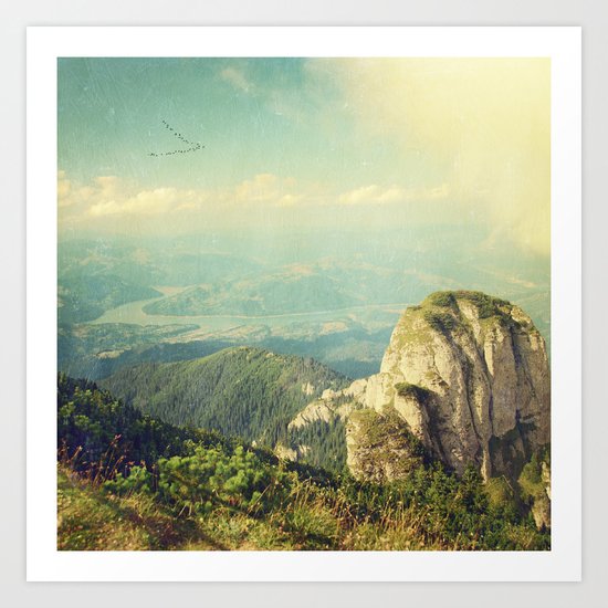 Winged Migration Art Print