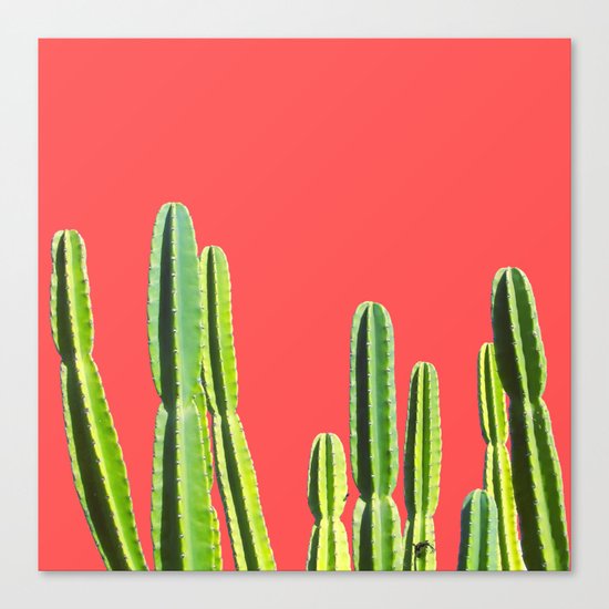 Cactus Canvas Print