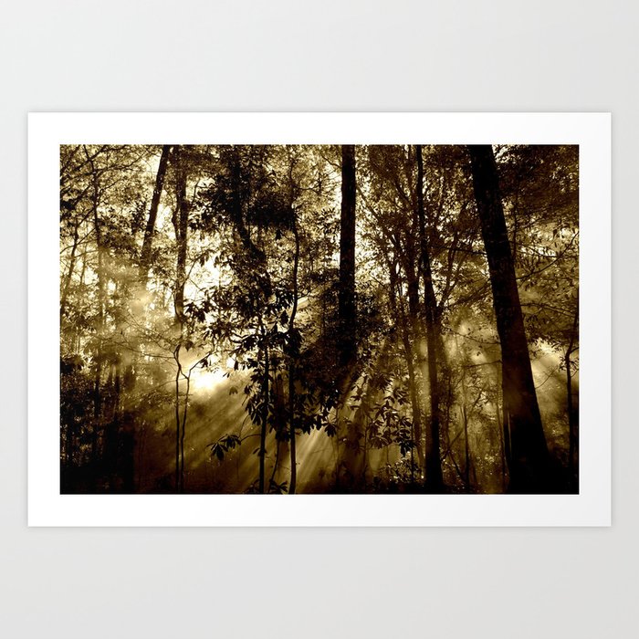 Sunray Forest Art Print