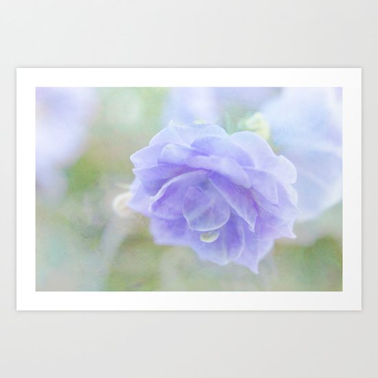 Pretty Campanula Art Print