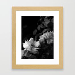 Black and White Flowers, Up Close Framed Art Print