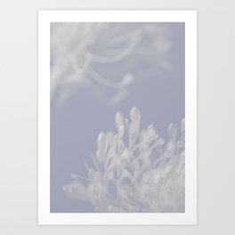 Abstract Flower Soft Blue Art Print Art Print