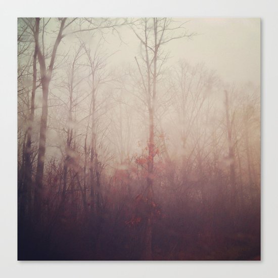 Winter Haze Canvas Print