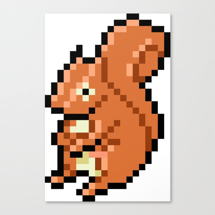 >> BEWARE THE RED SQUIRREL  Canvas Print