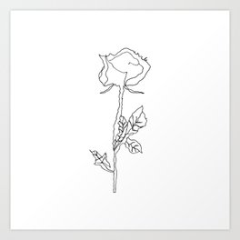 long stem rose Art Print