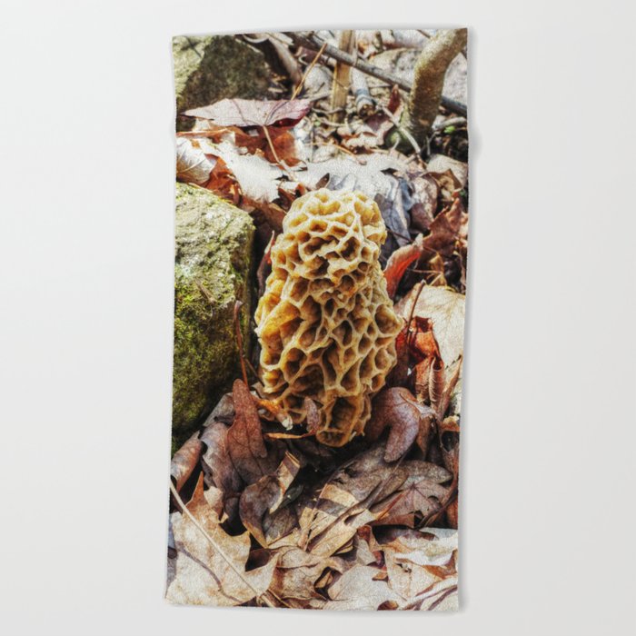 Morel Mushroom in the Wild Beach Towel