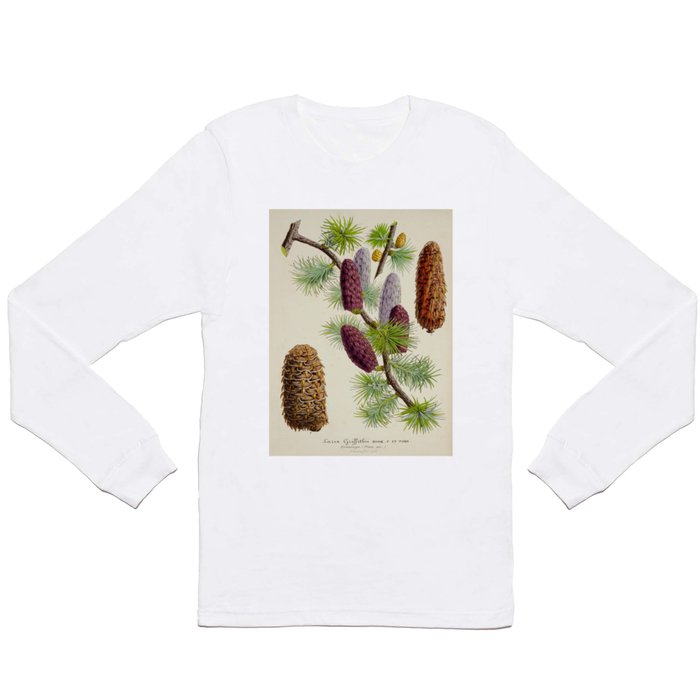 Pine Cone Larix Griffithii Vintage Botanical Floral Flower Plant Scientific Illustration Long Sleeve T Shirt