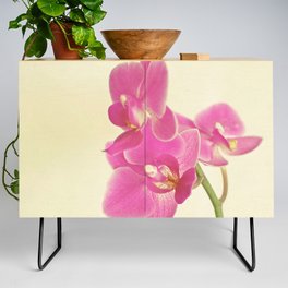 Pink Orchid Credenza