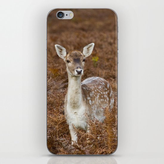 Deer iPhone & iPod Skin