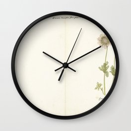 The anemone Groene Ridder, C. Baak, 1760 - 1769 Wall Clock