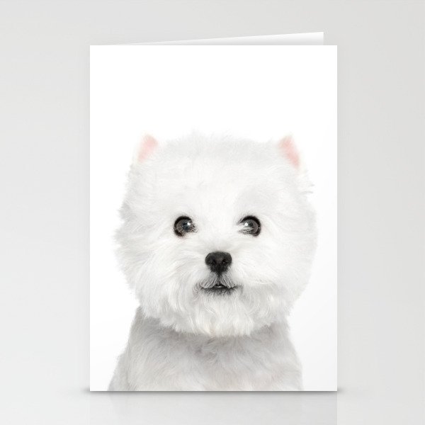 White Puppy Portrait - Stationery Cards