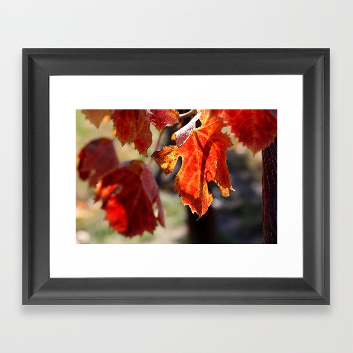Red Leaves Framed Art Print