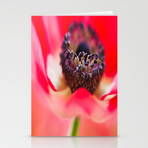 Red Anemone Stationery Cards