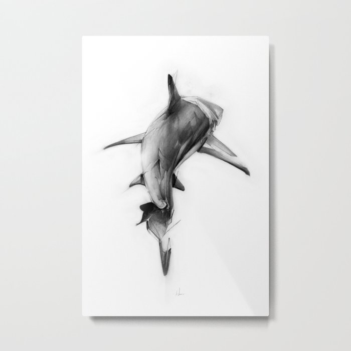 Shark II Metal Print