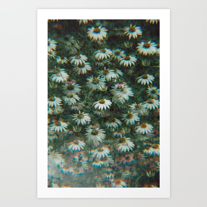 Cone Flowers Art Print