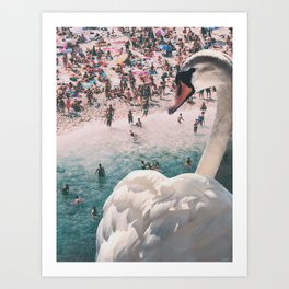 Swan on the Beach Art Print
