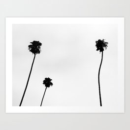 Three Long Palms in Los Angeles, CA (White) Art Print