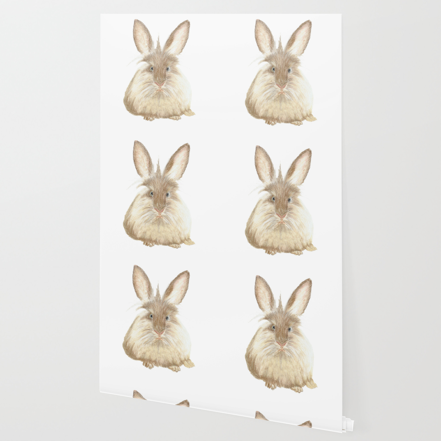 Animal Rabbit Fur Long Hair Brown Beige Drawing Bebicervin