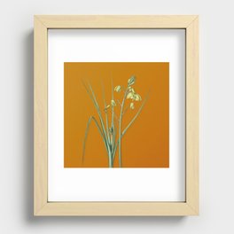 Vintage Slime Lily Botanical Illustration on Bright Orange Recessed Framed Print