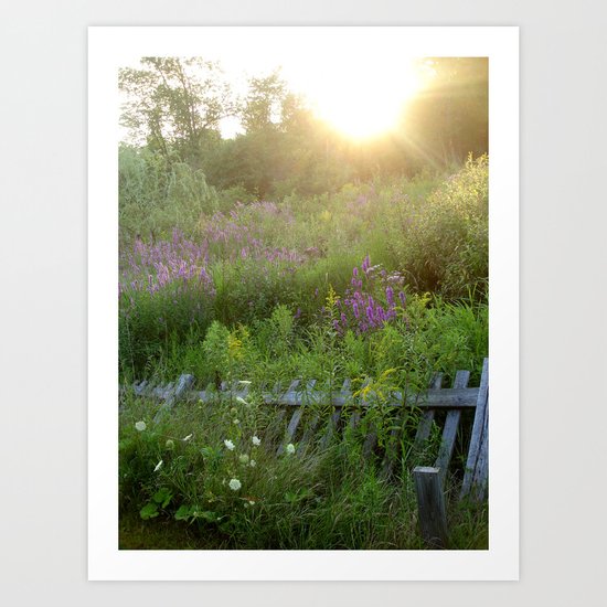 August coming undone Art Print