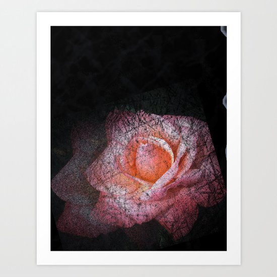 dark rose Art Print