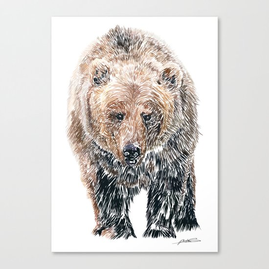 Bear Canvas Print