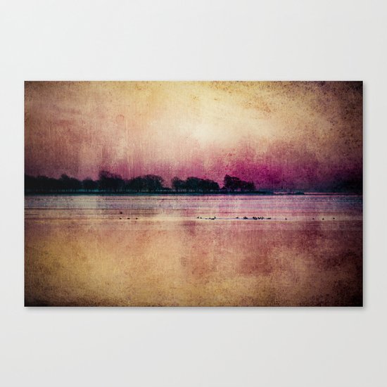 Scattered Dreams Canvas Print