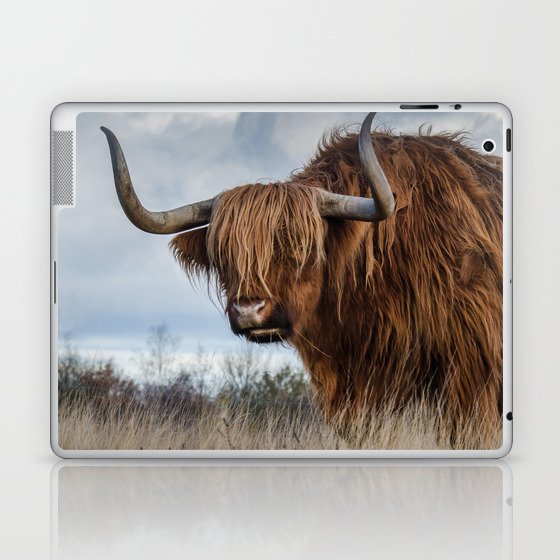 Scottish Highland Cow | Scottish Cattle | Cute Cow | Cute Cattle 02 Laptop & iPad Skin