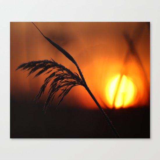 Good Morning Sun Canvas Print
