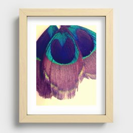 Peacocking Recessed Framed Print