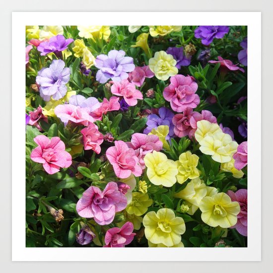 Lovely Flowers 17 Art Print