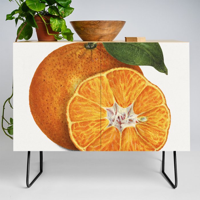Delicious Orange Tangerine Illustration Credenza