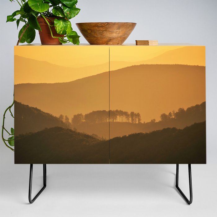 Shadows and trees Credenza