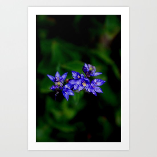 Purple Flower Art Print