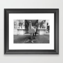 Hollywood Llama Framed Art Print