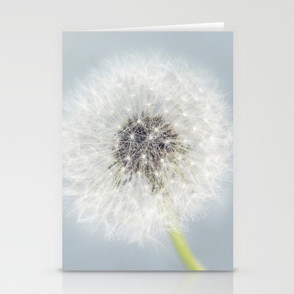 Dandelion on Blue Stationery Cards