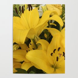 Bright Yellow Lilies From A Tropical Garden Poster