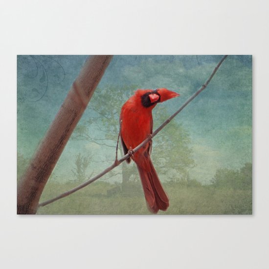 Whatcha Doing? Canvas Print