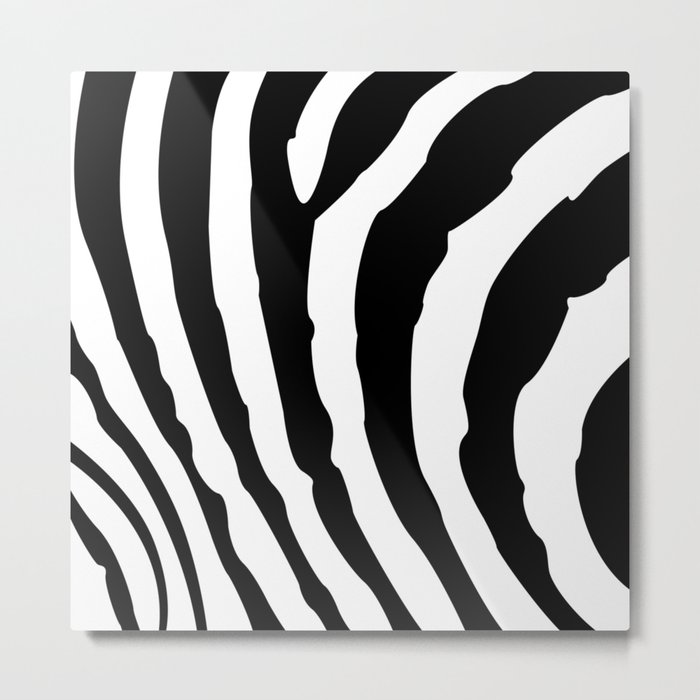 Zebra Stripes Arctic Tiger Stripes Animal Print Black White Metal Print