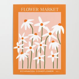 Flower Market - Echinacea #1 Poster