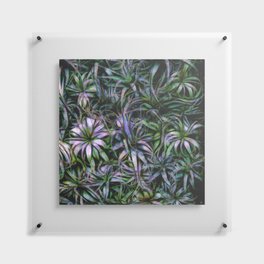 Air Plant Abstract Floating Acrylic Print