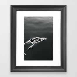 Dolphins I - BW Framed Art Print