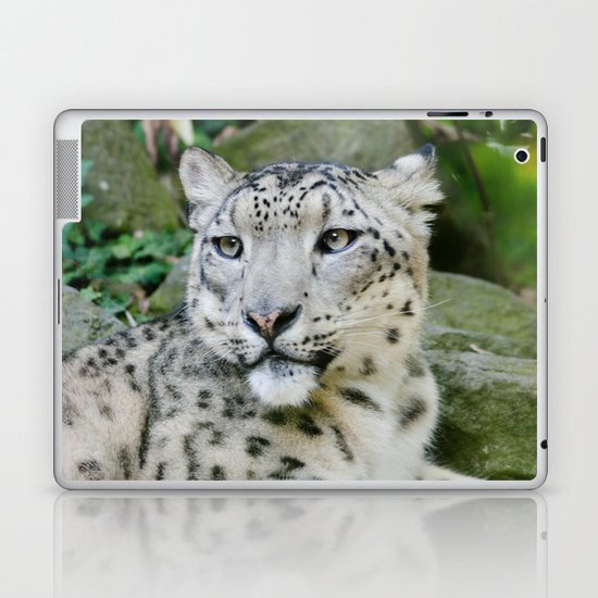 Snow Leopard stare Laptop & iPad Skin