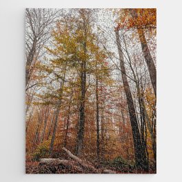 Autumn forest Jigsaw Puzzle