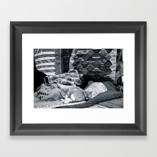 Marrakesh Cats IV Framed Art Print
