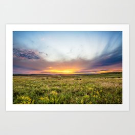 Oklahoma Art Prints Society6