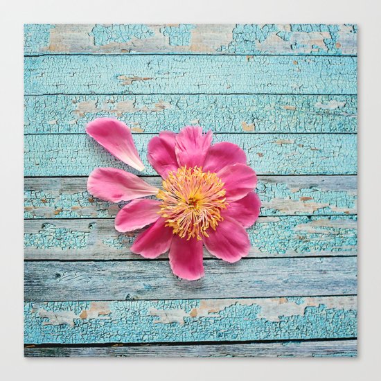 pink peony Canvas Print
