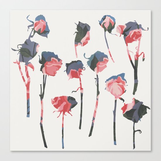 rose 1 Canvas Print