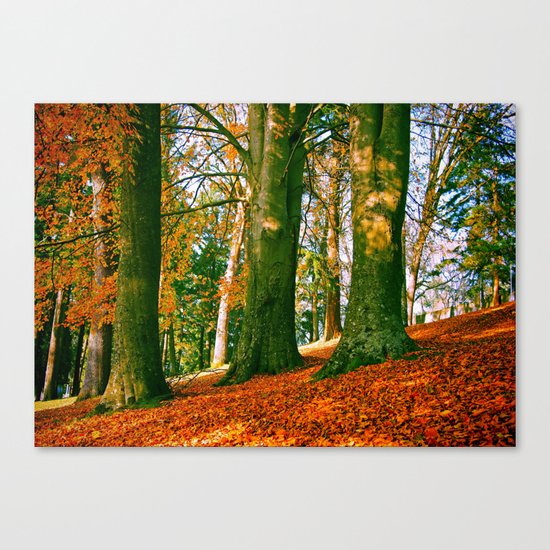 Autumn park hill Canvas Print