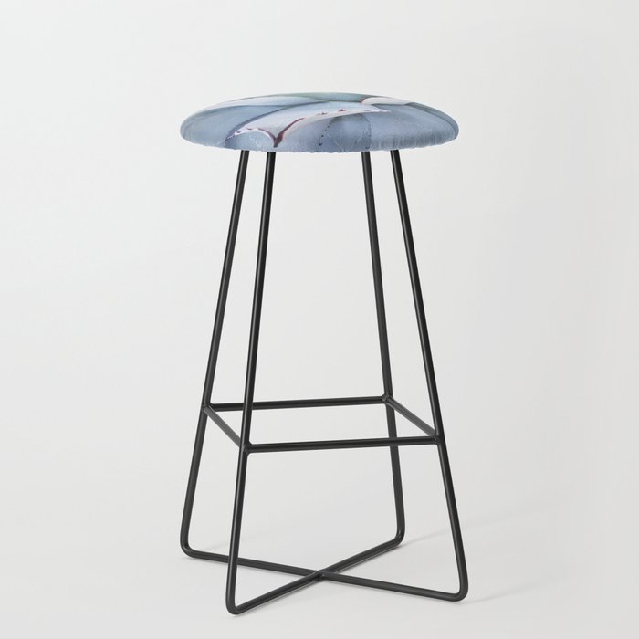 Mexico Photography - The Beautiful Agave Plant Bar Stool